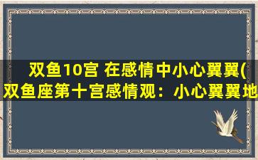 双鱼10宫 在感情中小心翼翼(双鱼座第十宫感情观：小心翼翼地探索真爱)